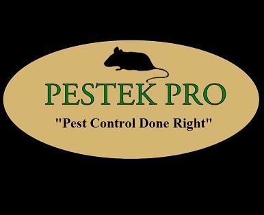 PEST CONTROL DONE RIGHT!!!Got Pests? Call the Pros!  (540)439-5008....www.pestekpro.com .....Proudly serving northern Virginia and surrounding counties
