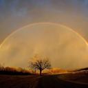 AJ Cohen - @akaaj2 - Twitter