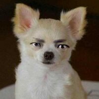 やす (@yasu565656) Twitter profile photo