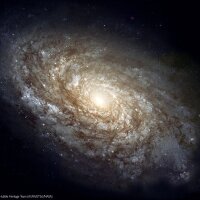 Stewart Young (@gsly57) 's Twitter Profile