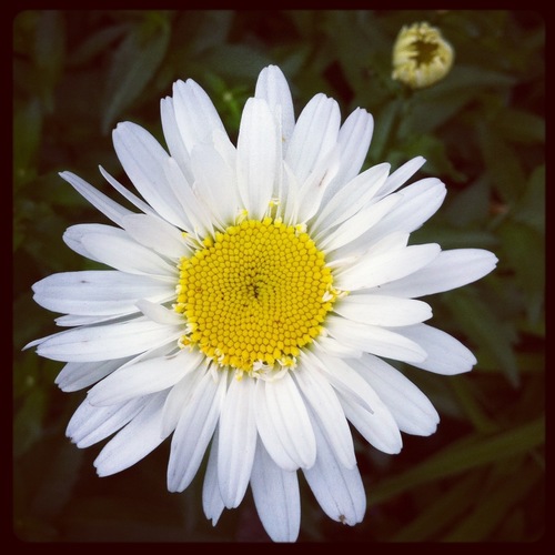 I love to take photos of all of the beautiful things around me.