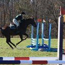 Denise Nader - @DeniseNader - Twitter