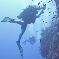 Gloria Barnett (@weirdfishlady) 's Twitter Profile