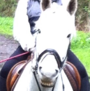 Anitahill8's profile picture. 