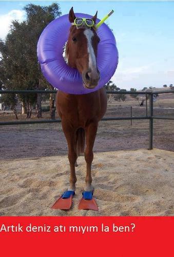 onedemekamk's profile picture. Hayat taşak geçmek için süper bir mekandır, değerini bilelim amk :D