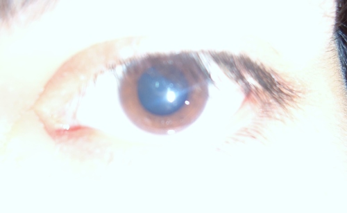 Eleazarrr's profile picture. :)