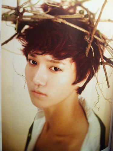S(e)xy Sing(l)e & (F)ree | E.L.F until the end | E.L.F & BLACKJACK | 슈퍼 주니어 is my SUPERMAN | @Shfly3424 wife♥
