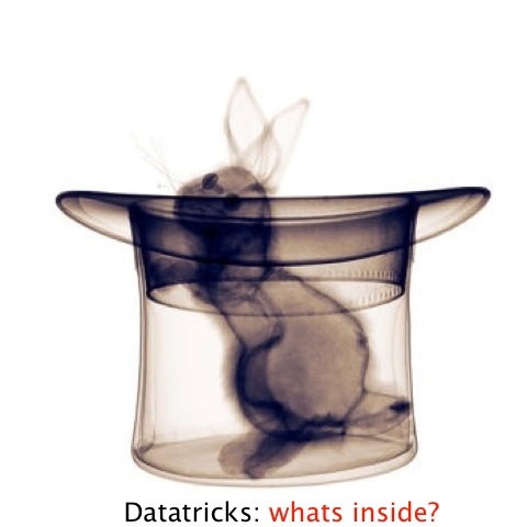 datatricks's profile picture. Big Data magician.