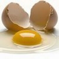 Daniel Egnor (@egnor) 's Twitter Profile