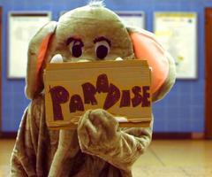 Parabéns você é o visitante 1.000.000 você ganhou um carro, para receber seu premio basta me seguir!