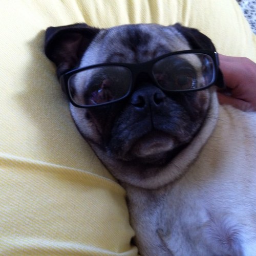 joelcarle's profile picture. 