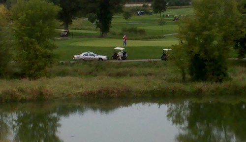 Flatstick72's profile picture. 