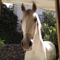 David Latourell (@david_latourell) 's Twitter Profile