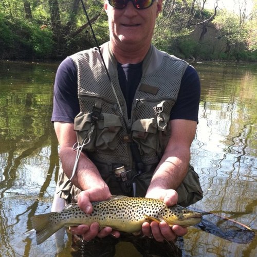 BuzzHansen's profile picture. 