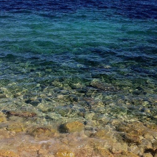 zelhya's profile picture. 