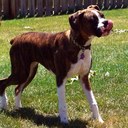 Leann Collins - @CollinsLeann - Twitter