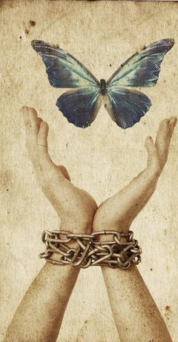 SimgEeldeniz's profile picture. yaşasın halkların yalnızlığı!   #Midas #Rima 🐾❤ 🌎 Antalya