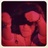 7xxnA's profile image