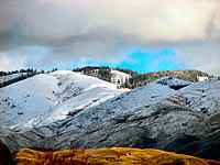 Best_Of_Net's profile picture. 