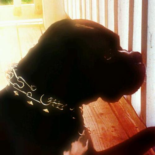 jersey_box's profile picture. #TeamDarkskin #EastAtlantaVeteran #DPMG #JerseyTV