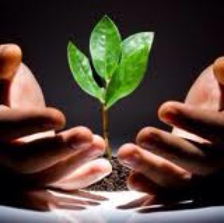 socialVCs's profile picture. Capital Creates The Next Episode! Curating data and news making an environmental, economic and societal impact. Changing the world needs volunteers!