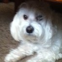 Nolan Robert Keller - @DSpikersDc - Twitter