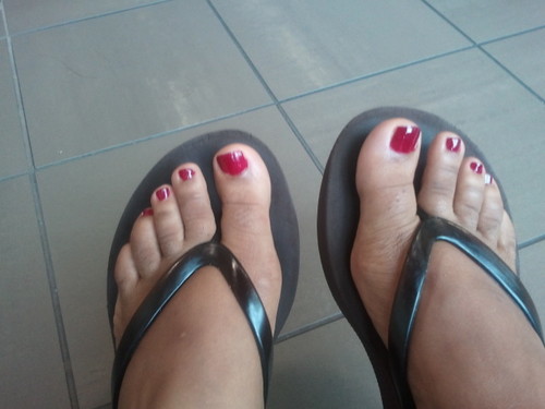 choppee73's profile picture. Going out on limb...isn't that where the best fruit is found?