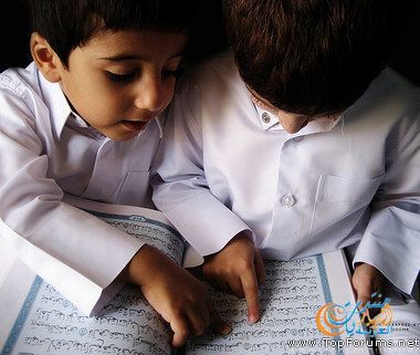 انظرو الفرق بين الكبار و بين الصغار