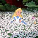 Talia Carter - @CarterTalia - Twitter