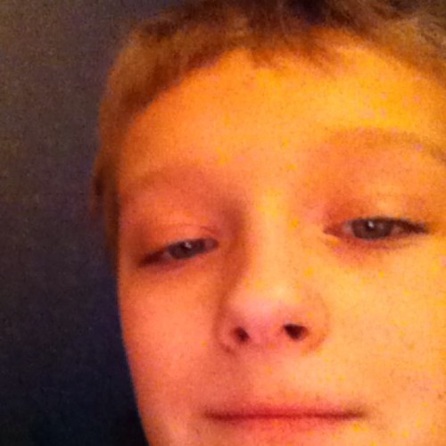 IanXcxc's profile picture. 