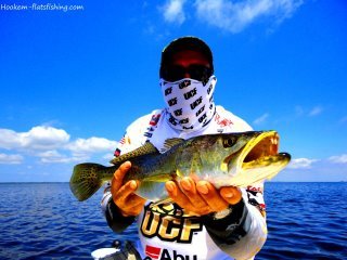 VP of Marketing and Sales for the Fishermans Digest, love to hunt and fish, love my kids