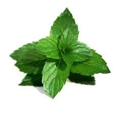 TechMintSupport's profile picture. Houston’s one-stop to Technical and Business Support assistance.