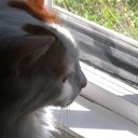 Monica Lamb - @LambMonica - Twitter