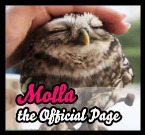 I am the Owl sweeter and famous of the web, love me.
私は、ウェブのフクロウ甘いと有名ですが、私を愛して.
http://t.co/ffM7YAwNW9