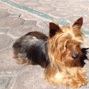 Fausto Gomez C. - @faustogomezc - Twitter