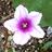 uppn_bbra's profile image