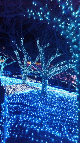 LoMstg's profile picture. 