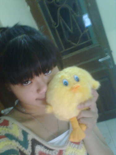 tienmeo's profile picture. 