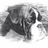 PierugoFantozzi's profile image