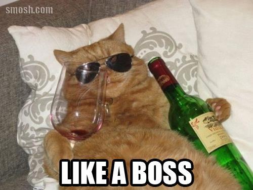 This shit right meow.