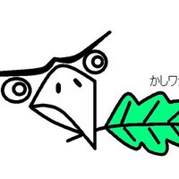 柏市市民活動支援課 (@kashiwa_area) 's Twitter Profile Photo