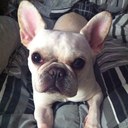 Amie Meyer - @amie_meyer - Twitter