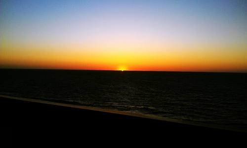 ThisOneeIsFor's profile picture. a twitter account trying to bring all of us together. we are a family, and we are never alone.