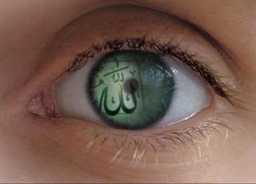 Fd7Fahad's profile picture. 