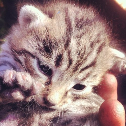 ihero89's profile picture. 