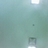 bakkas's profile image