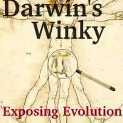 darwin_style's profile image