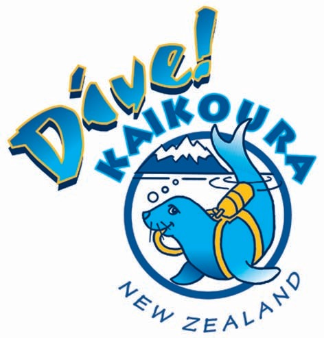 divekaikoura's profile picture. 