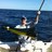 peteryan72's profile image