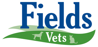Fields Vets in Newport (small animal practice), caring for people as well as their pets